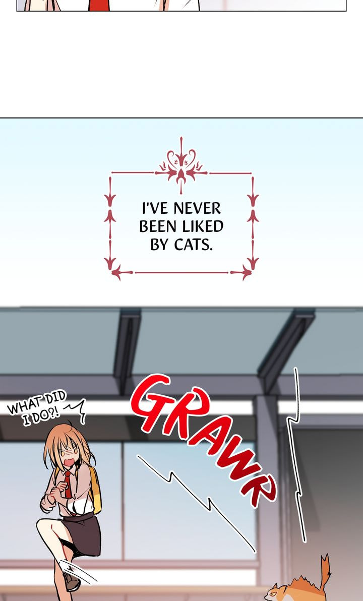Read Cat