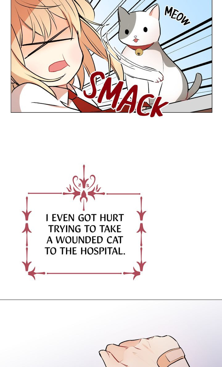 Read Cat