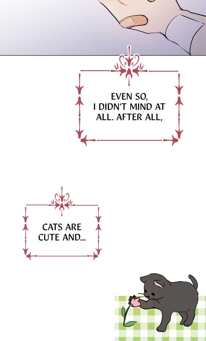 Read Cat
