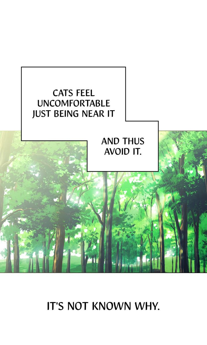Read Cat