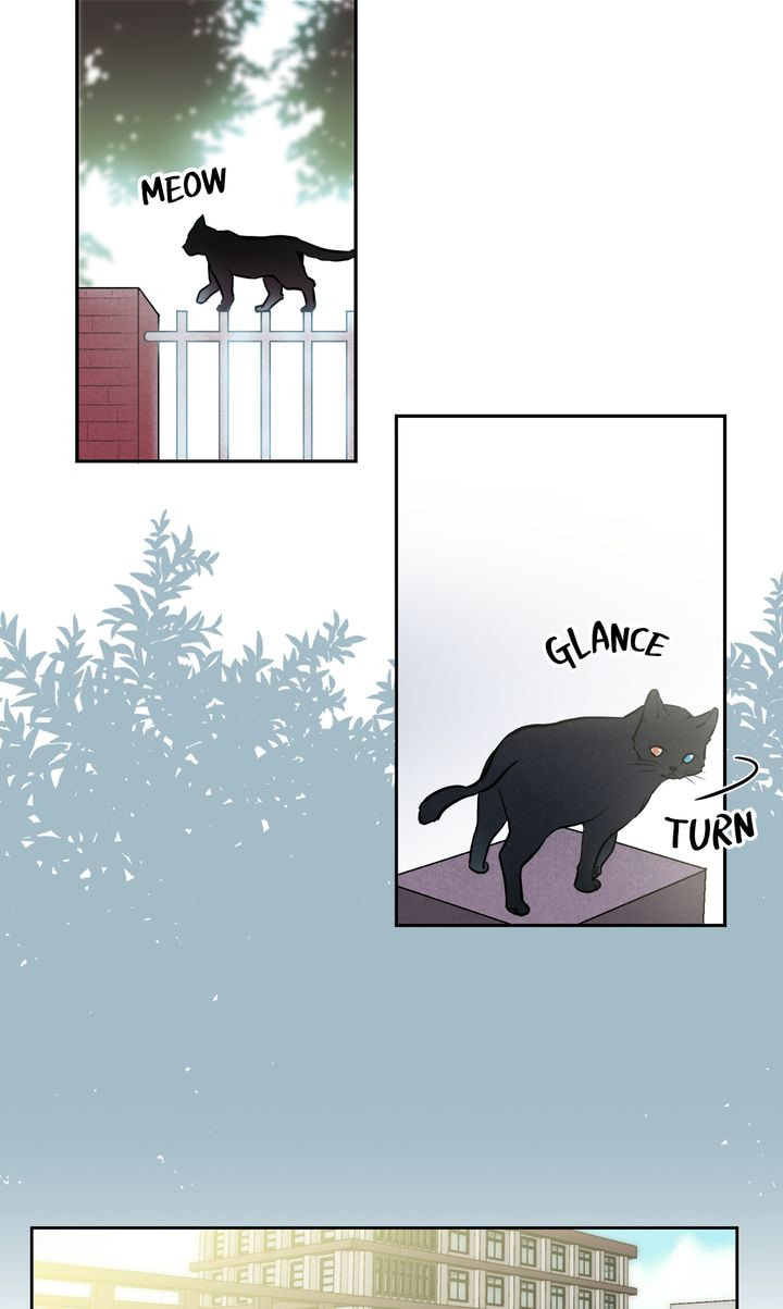 Read Cat