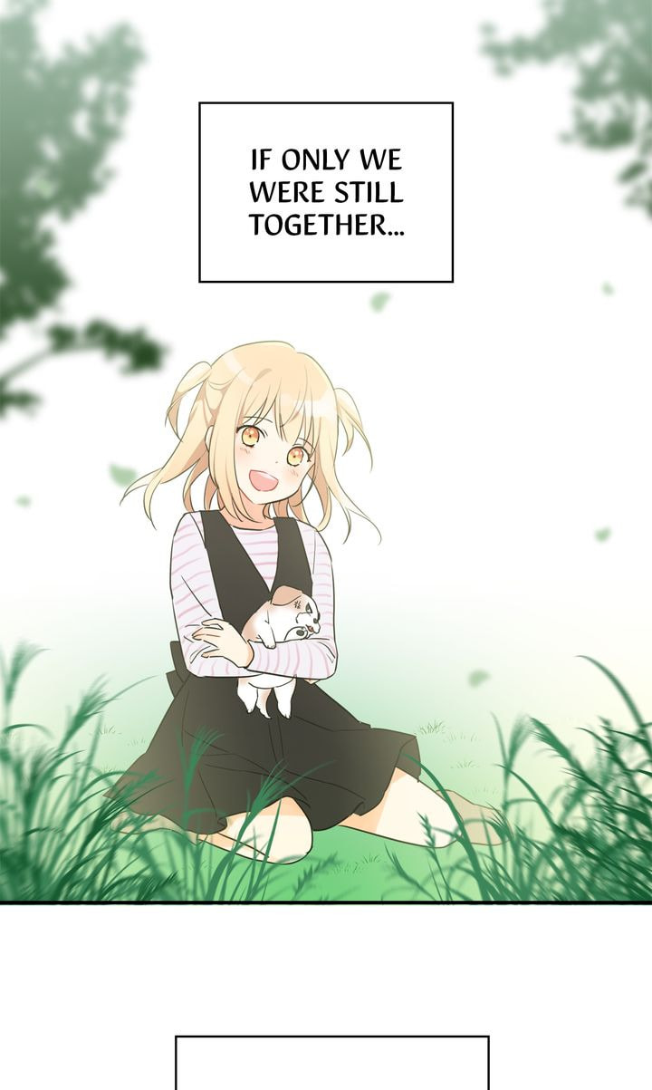Read Cat