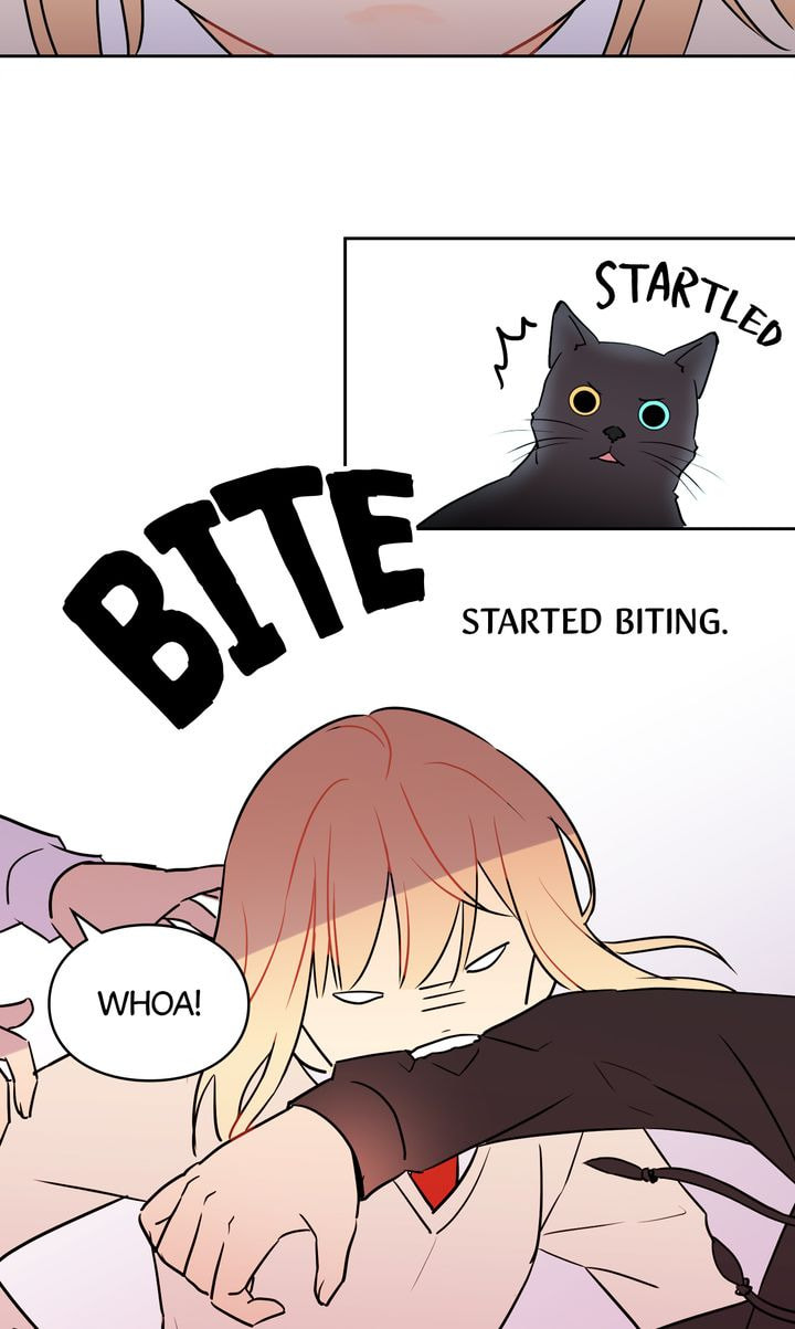 Read Cat