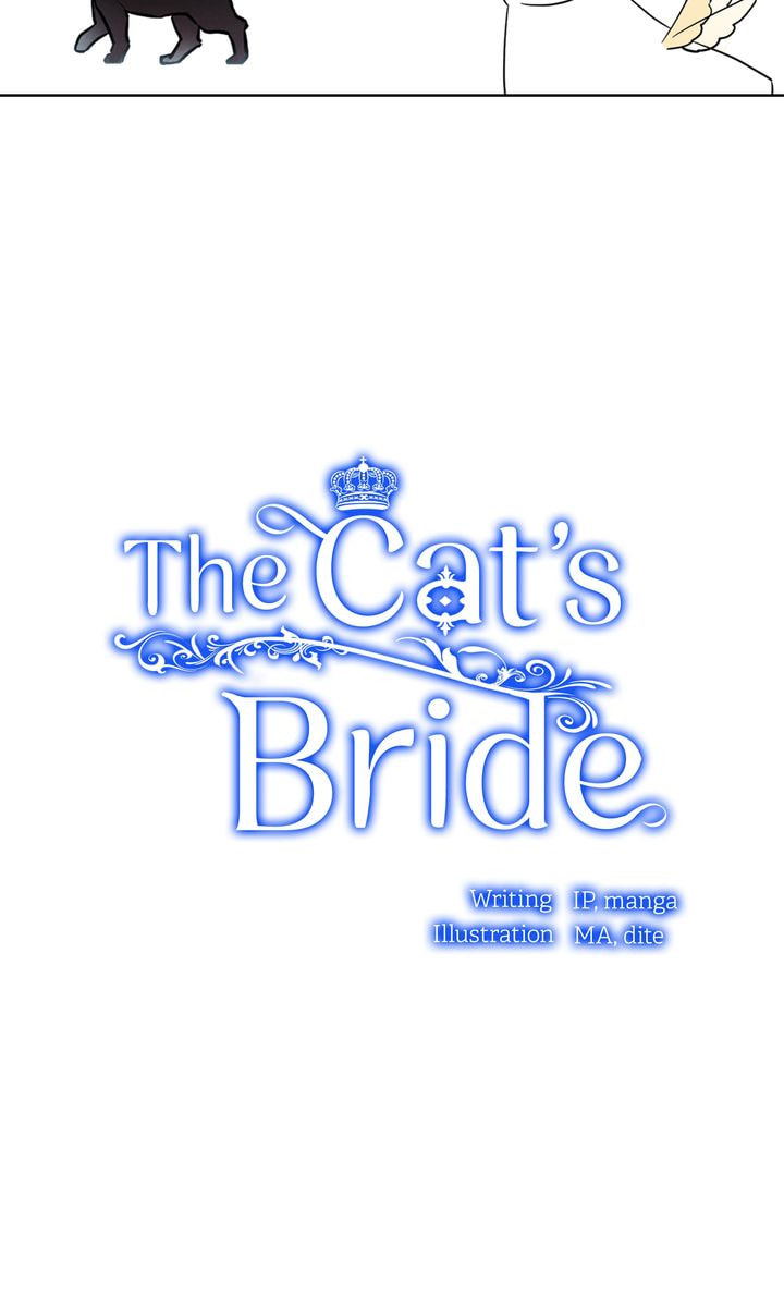 Read Cat