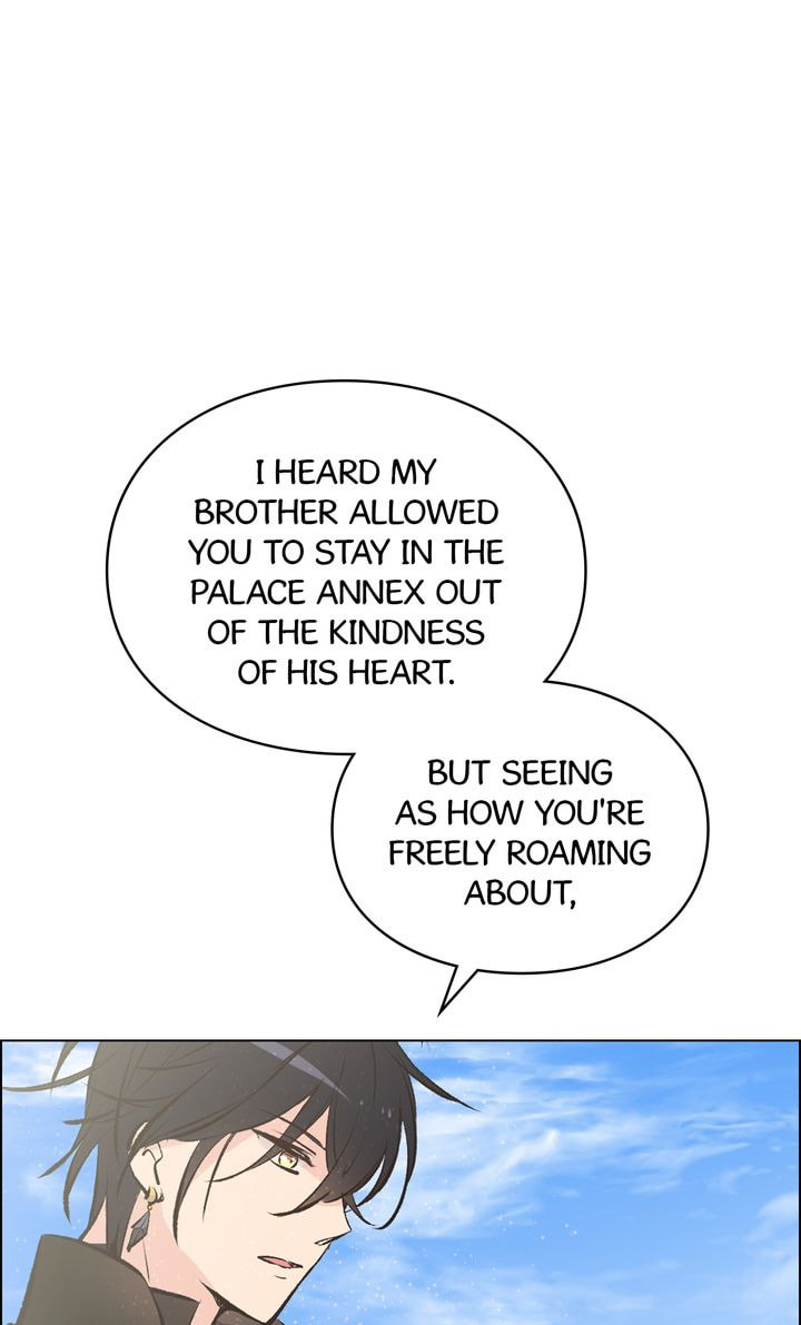 Read Cat