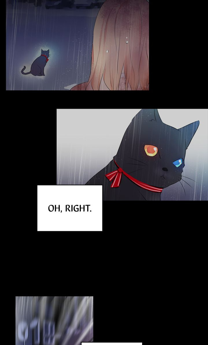 Read Cat