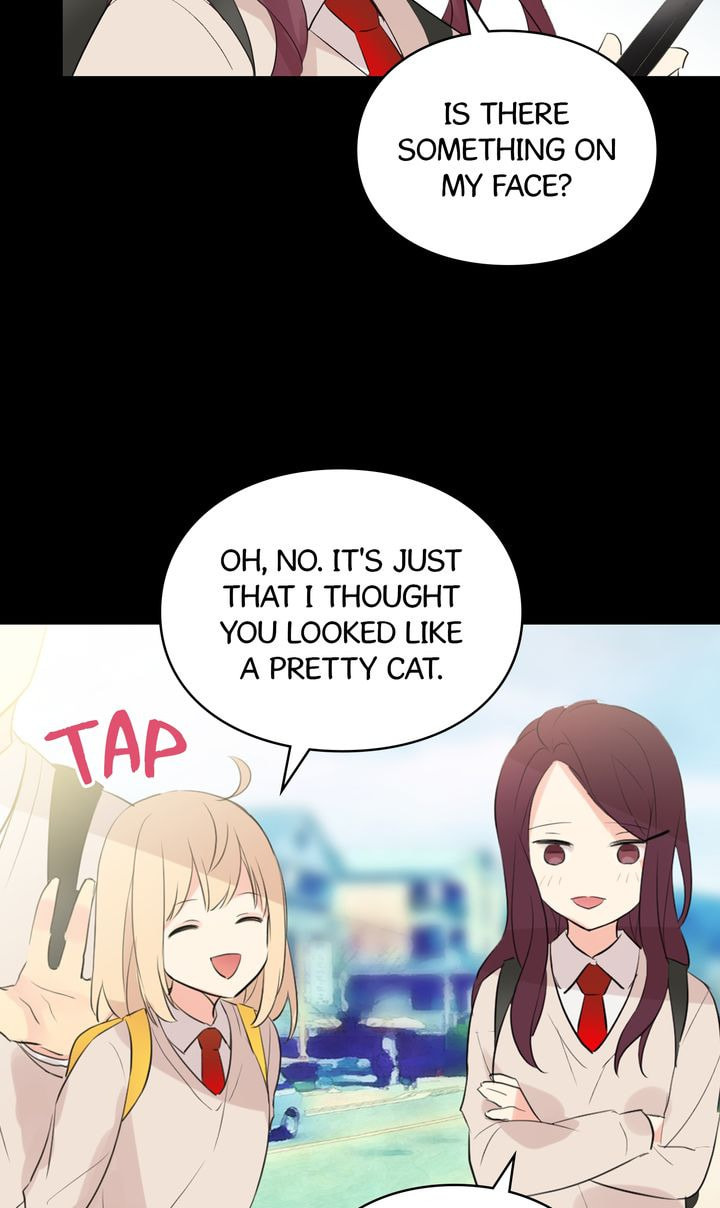 Read Cat