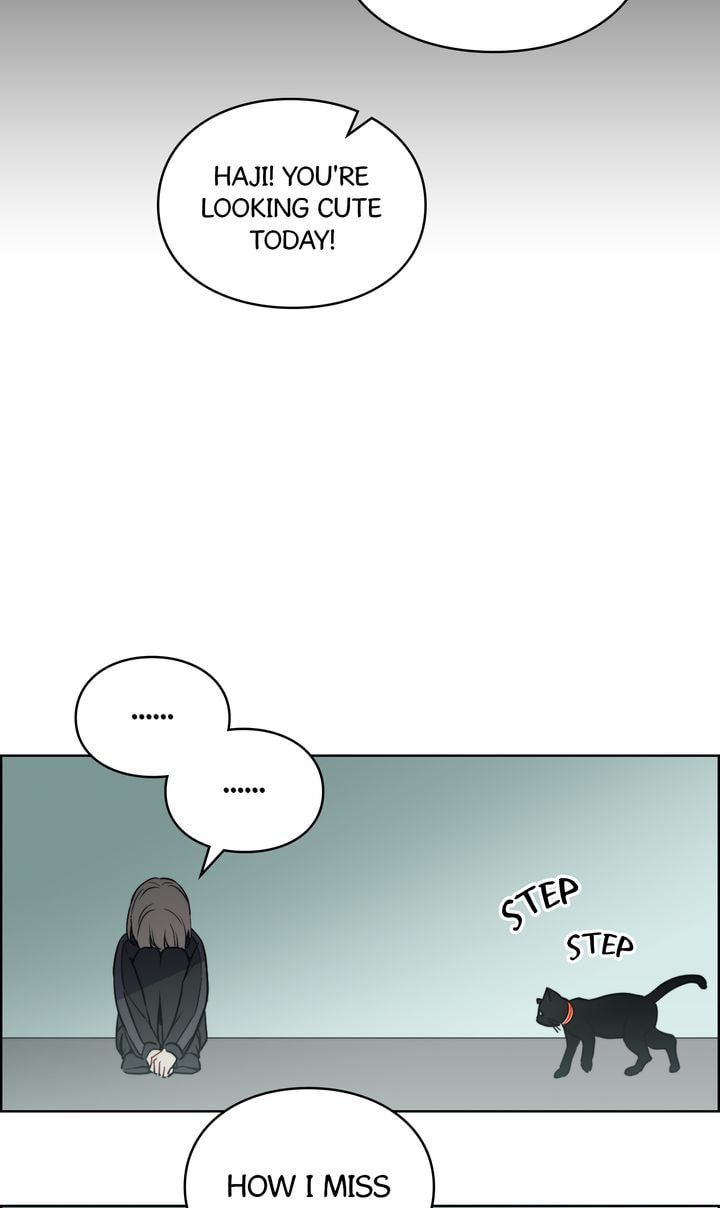 Read Cat