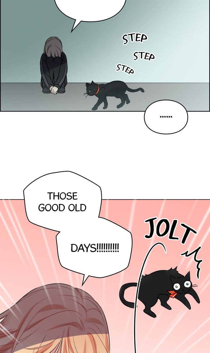 Read Cat