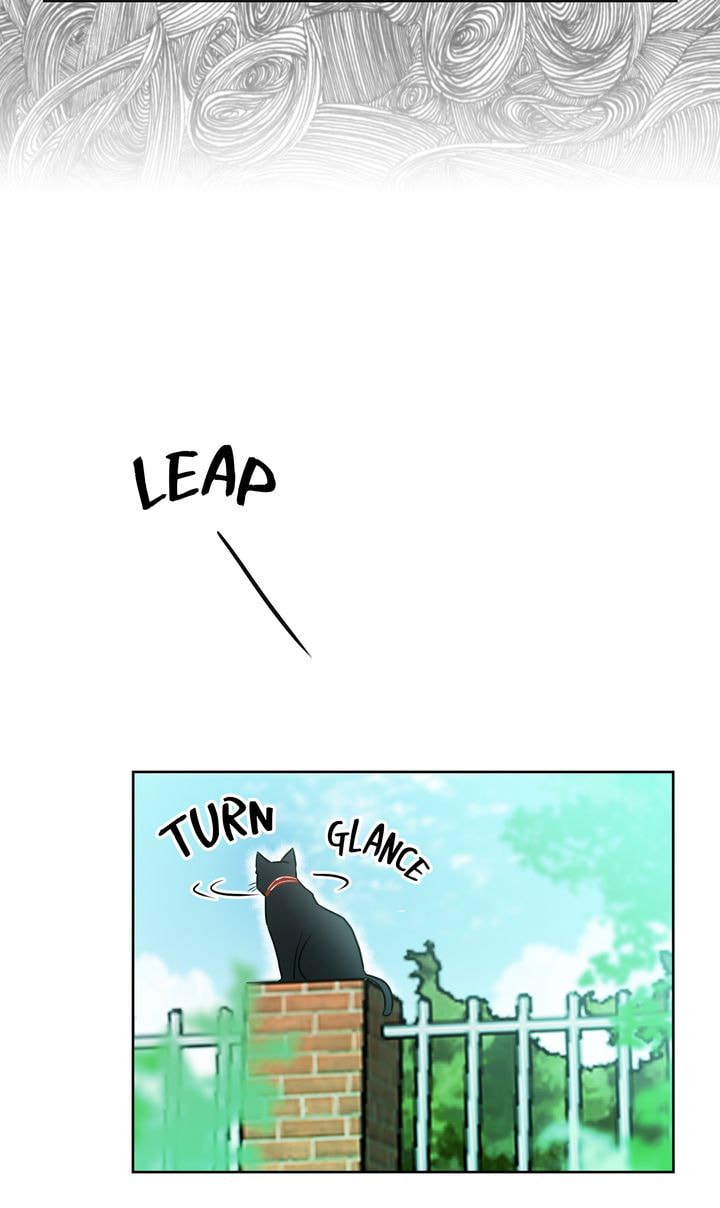 Read Cat