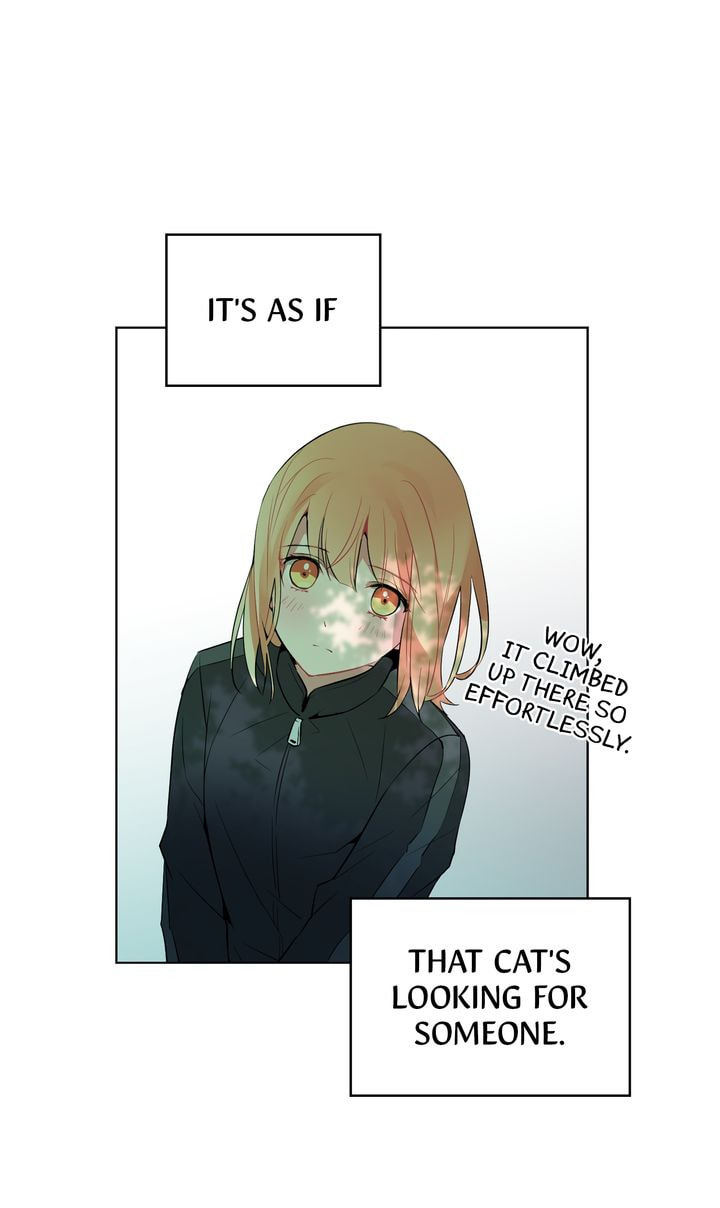 Read Cat