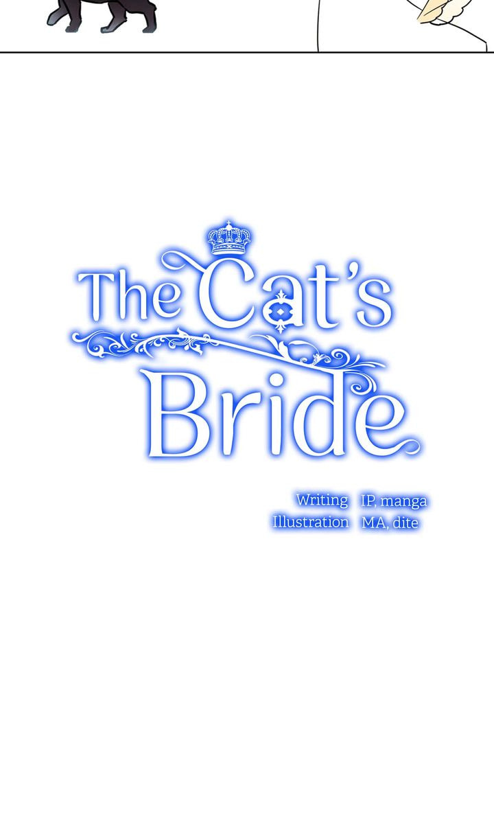 Read Cat