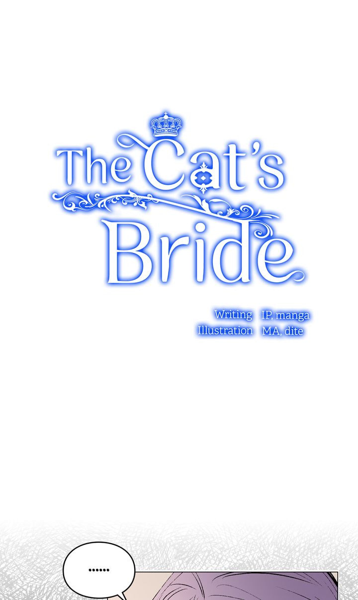 Read Cat