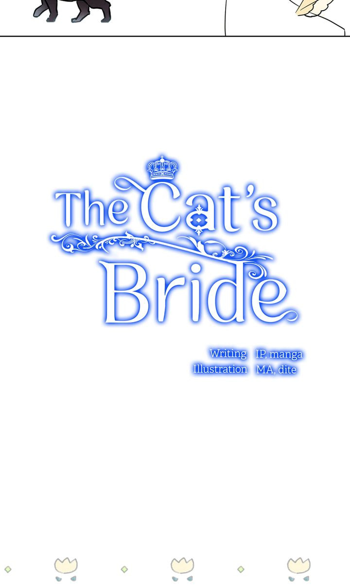 Read Cat