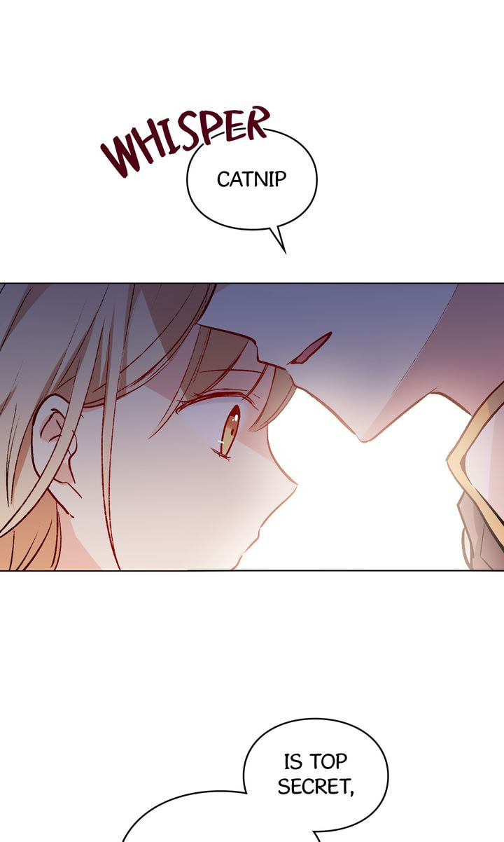 Read Cat
