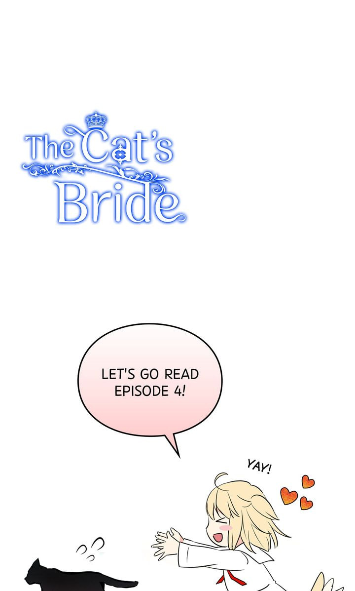 Read Cat