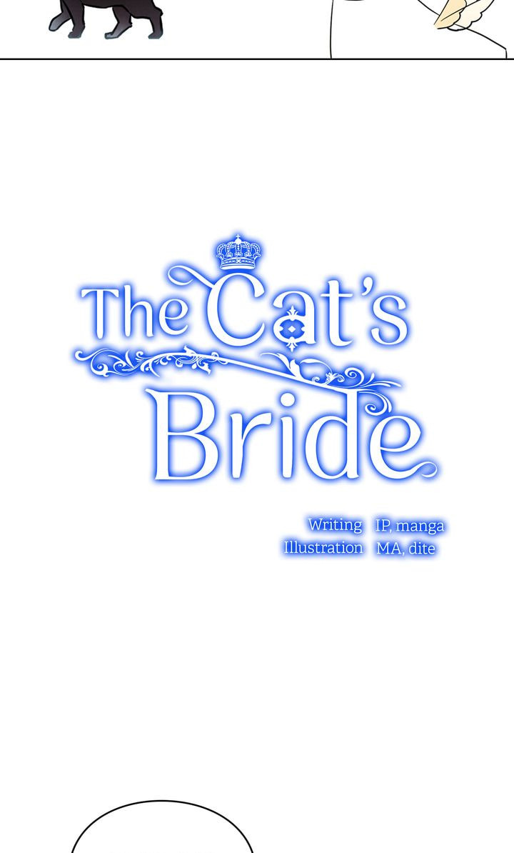 Read Cat