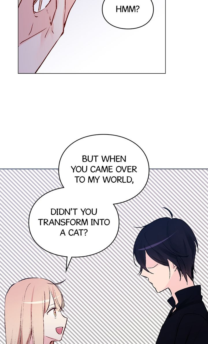 Read Cat