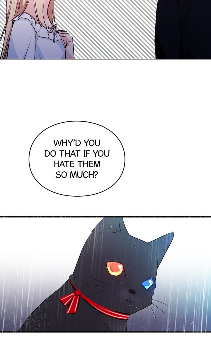 Read Cat