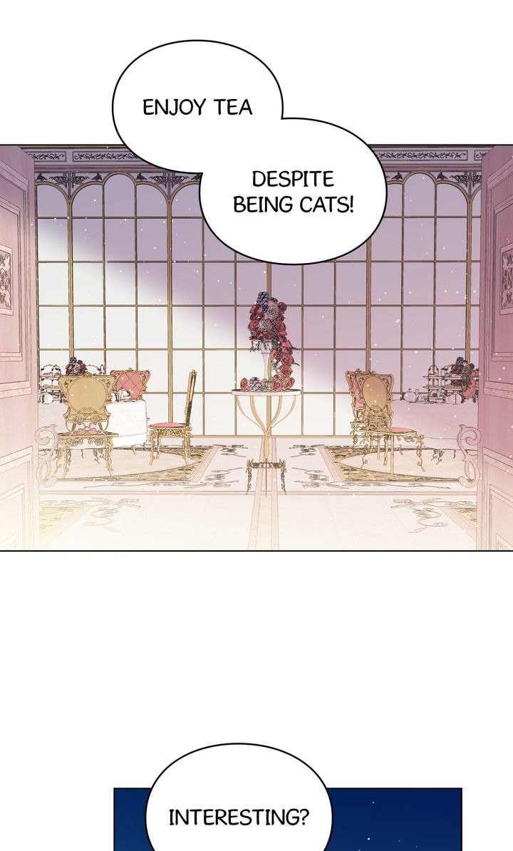 Read Cat