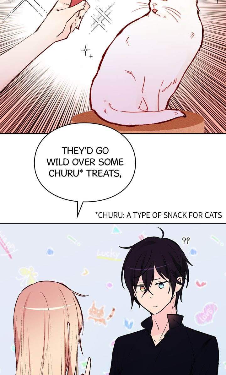 Read Cat