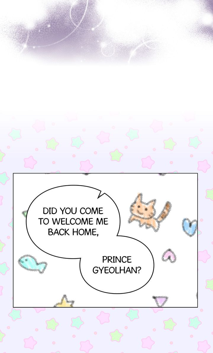 Read Cat