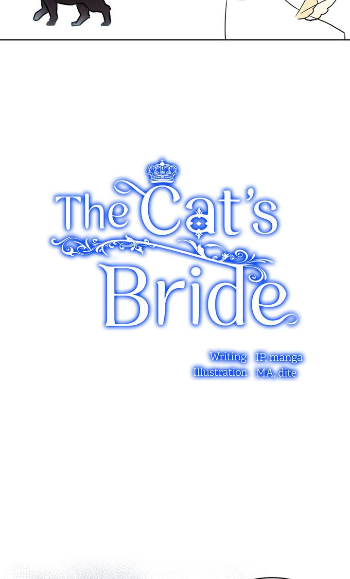 Read Cat