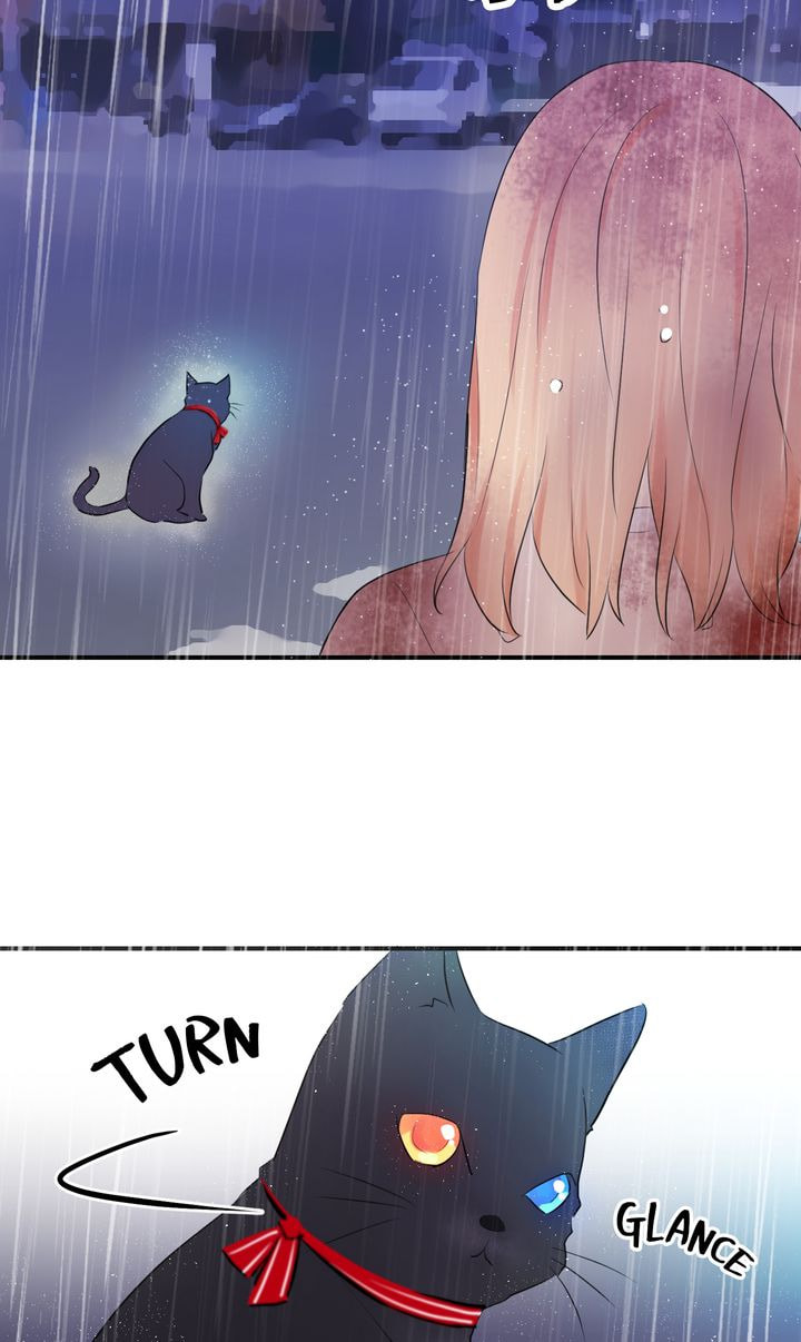 Read Cat