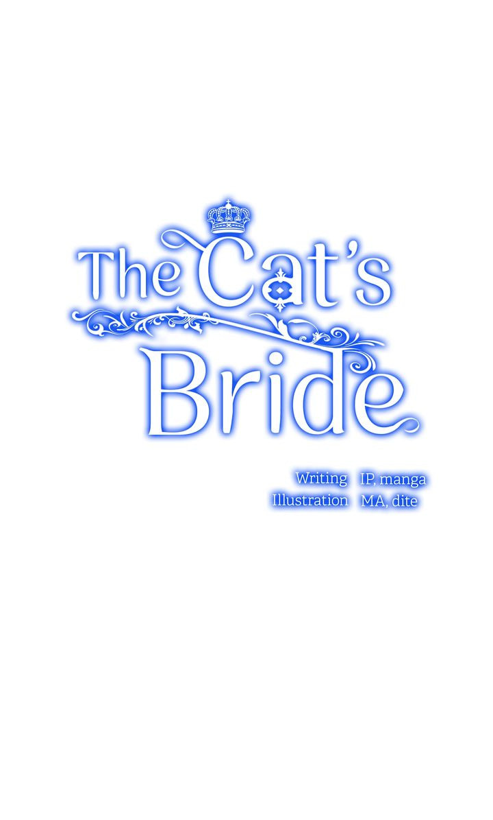 Read Cat