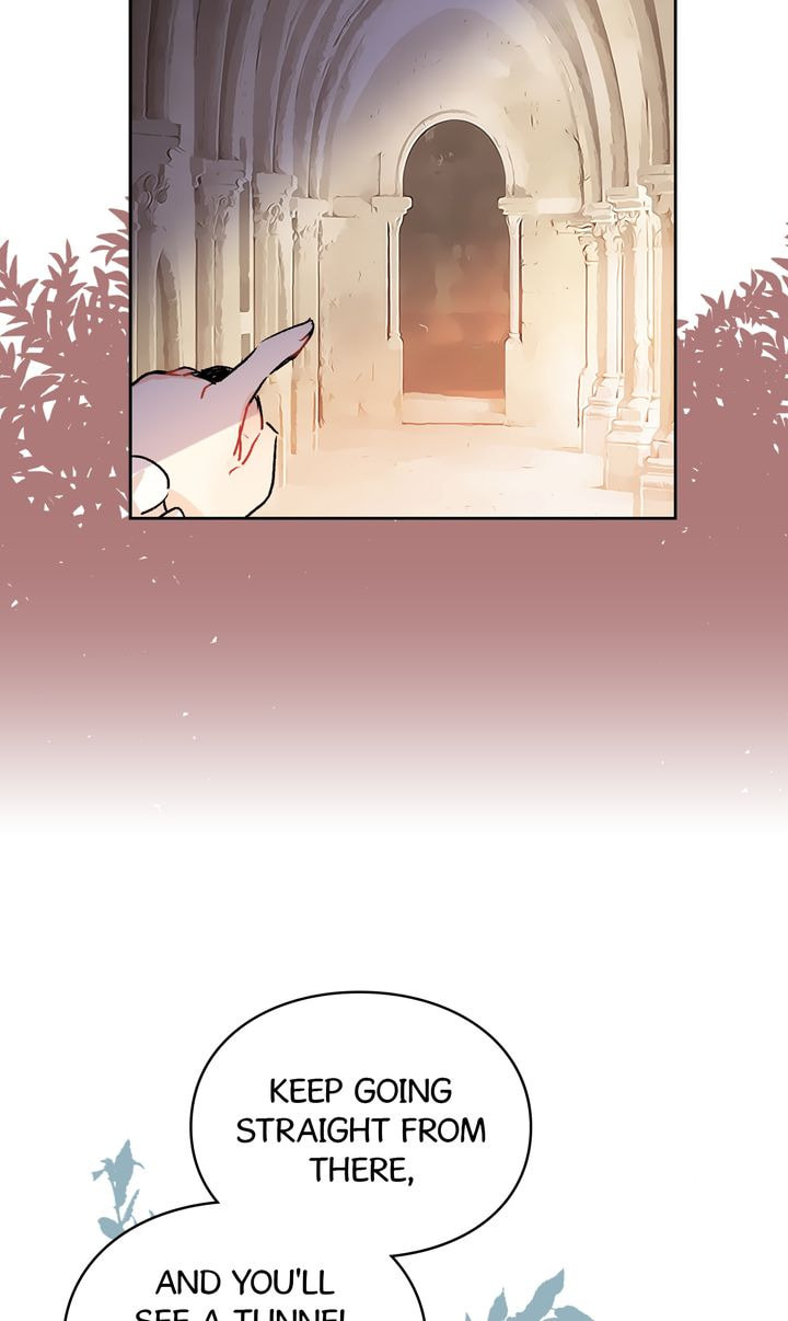 Read Cat