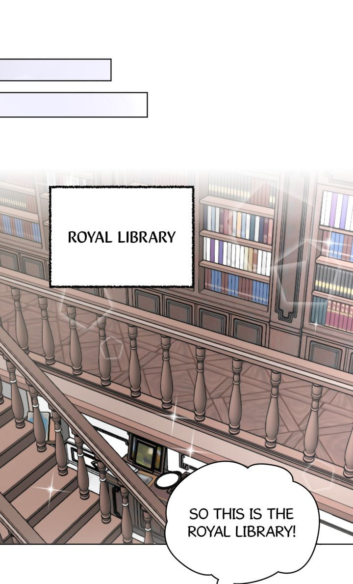 Read Cat