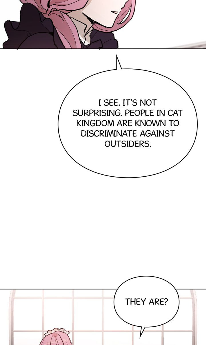 Read Cat