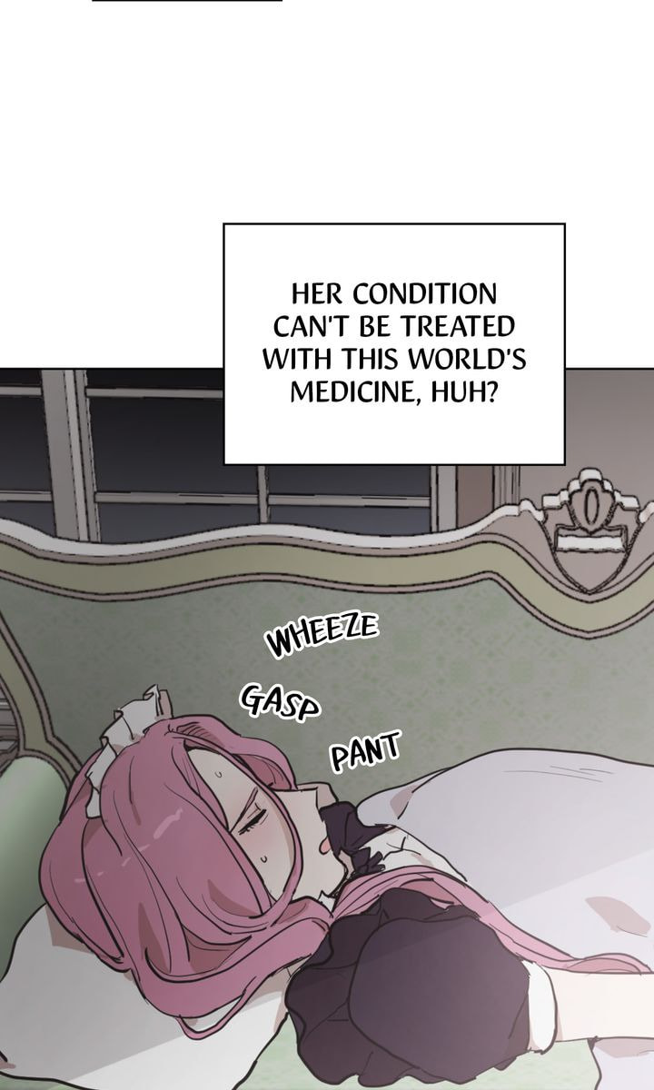 Read Cat