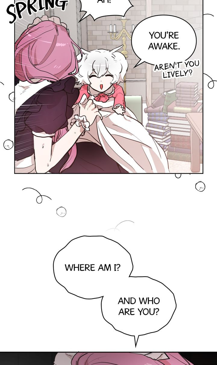 Read Cat