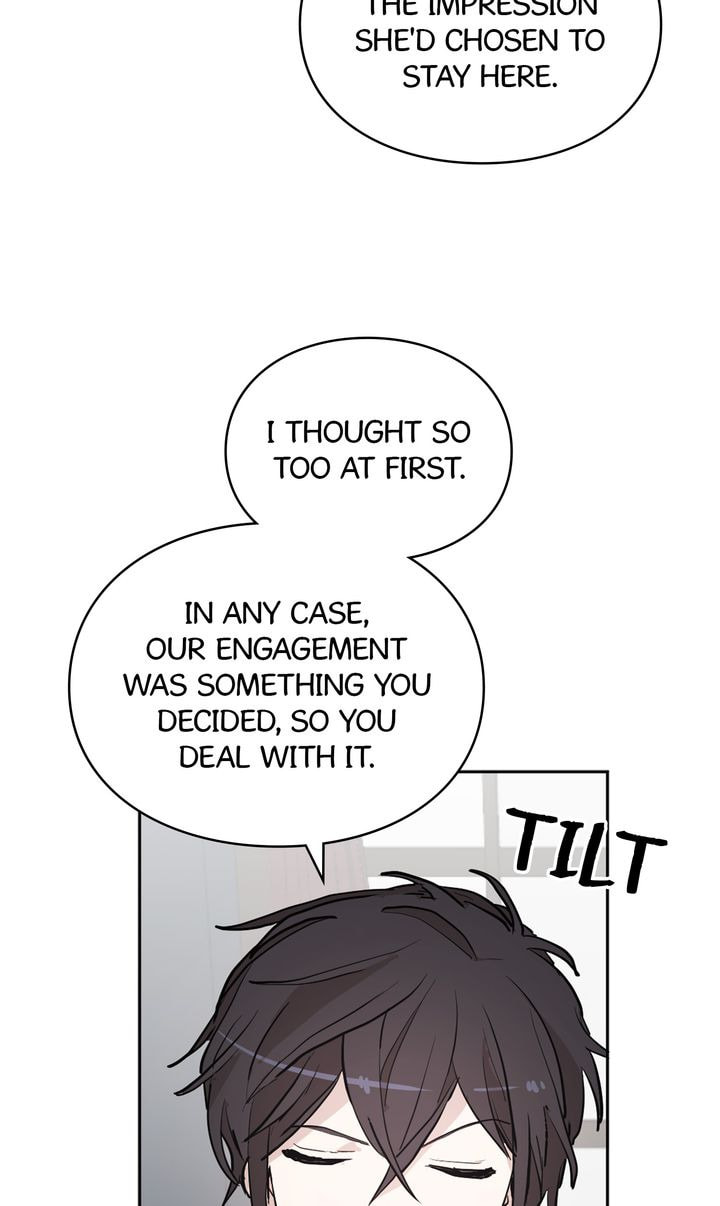 Read Cat