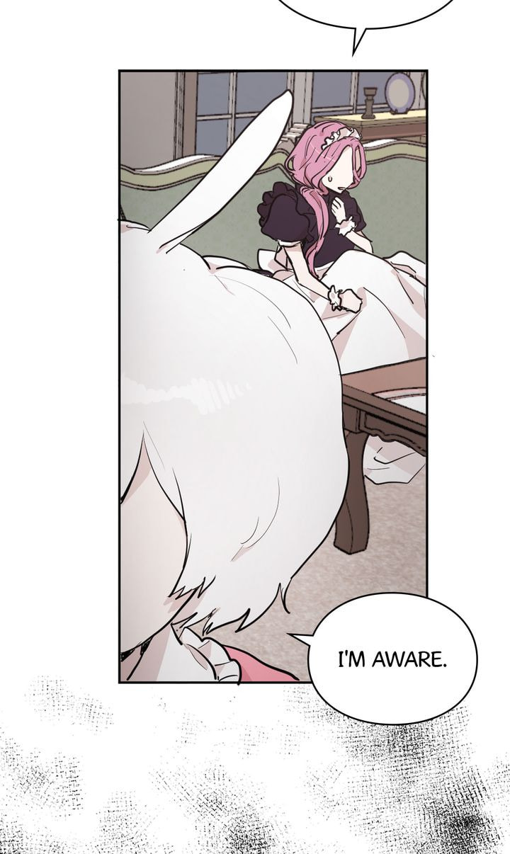 Read Cat
