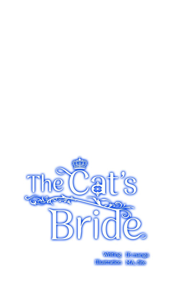 Read Cat