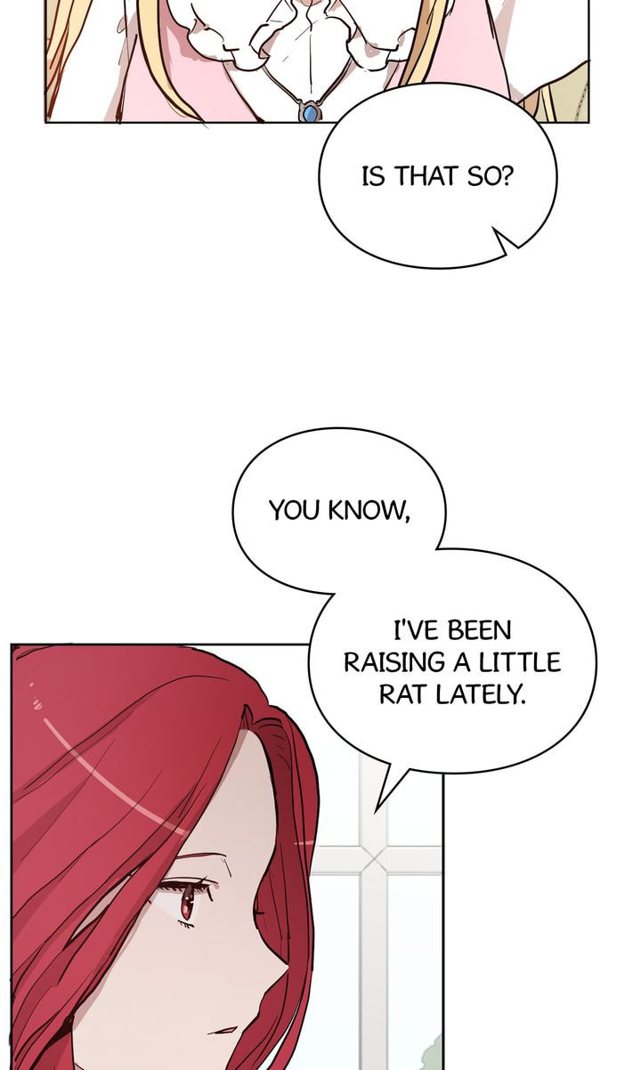 Read Cat