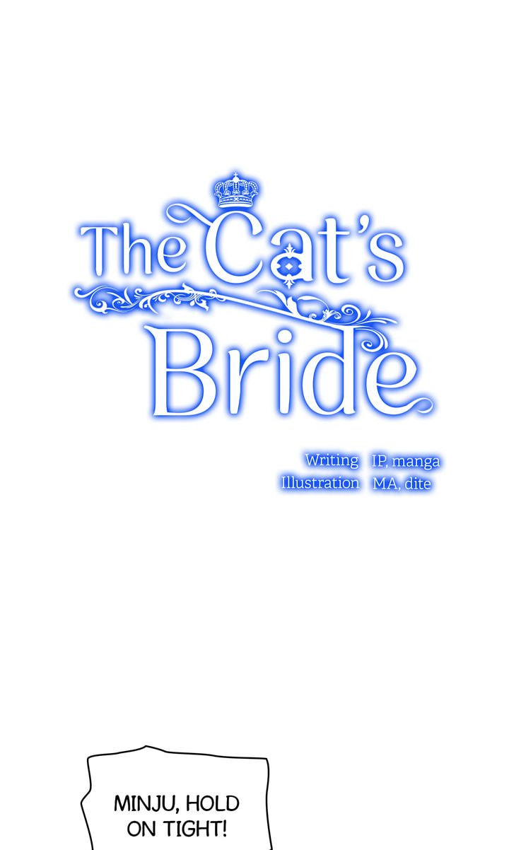 Read Cat