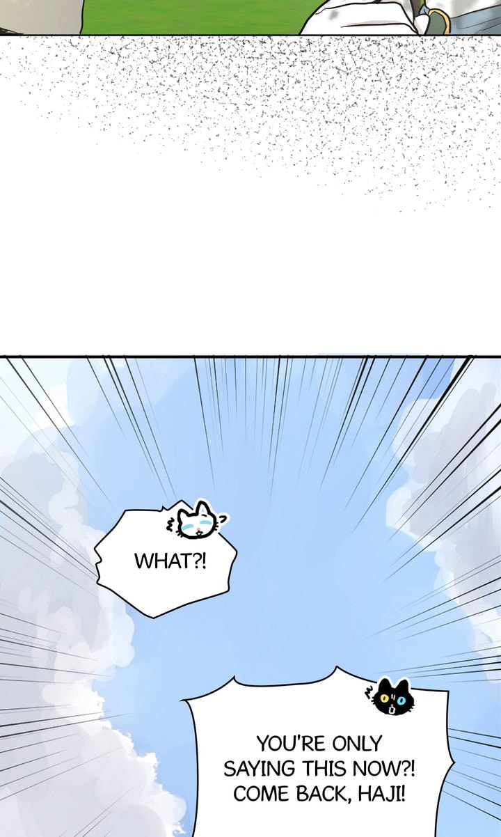 Read Cat