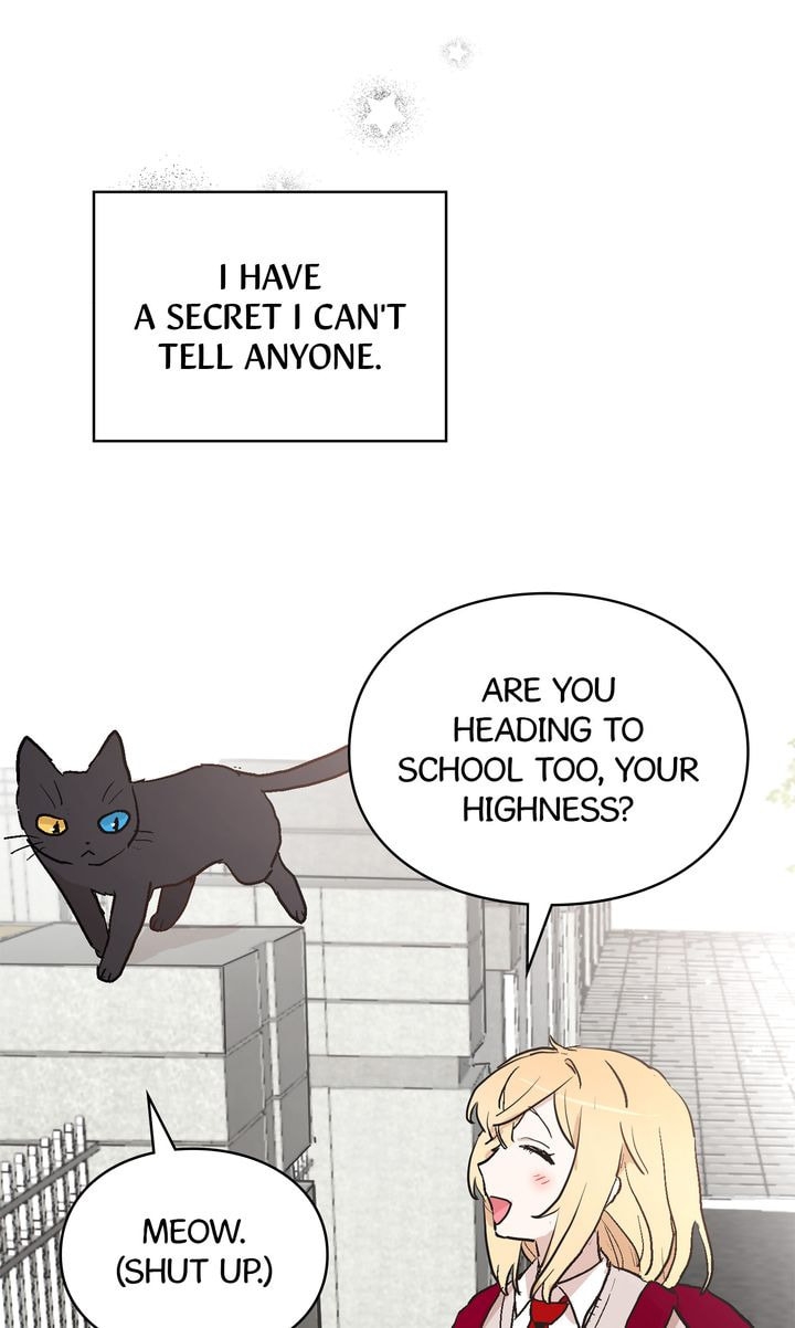 Read Cat