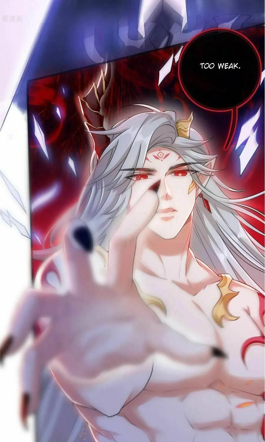 Cat System: The Emperor Is a Cat Lover (Colored) Chapter 39 page 7 - 