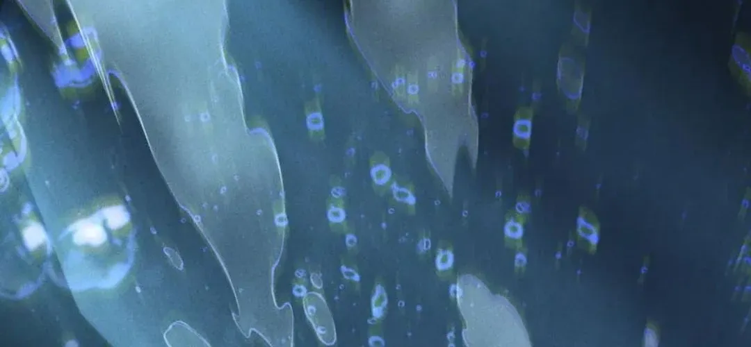 Read Catastrophic Necromancer chapter 163 image 8 on Lezhin