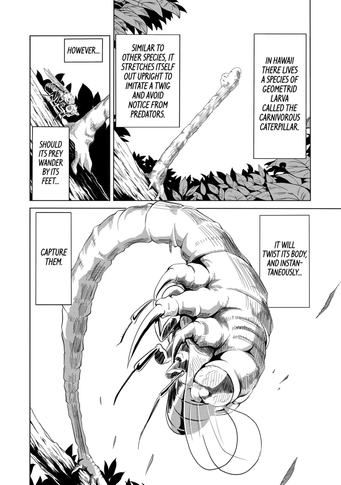 Read Caterpillar chapter 1.3 image 2 on Lezhin