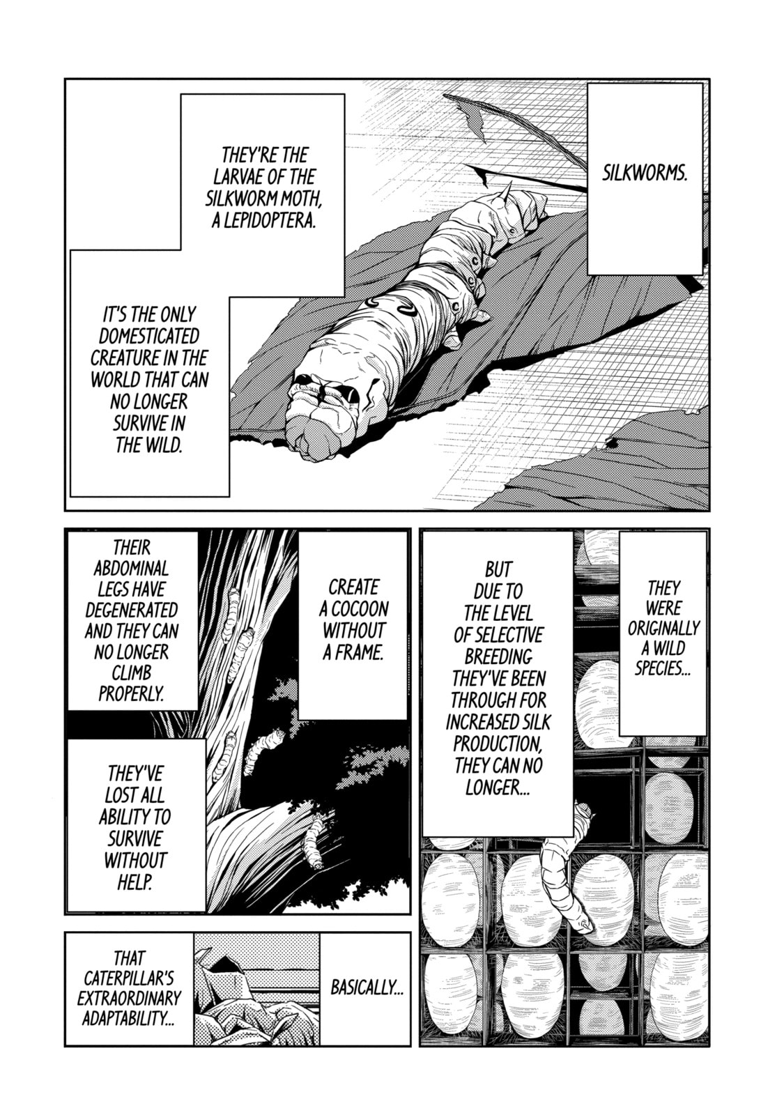 Read Caterpillar chapter 12 image 3 on Lezhin