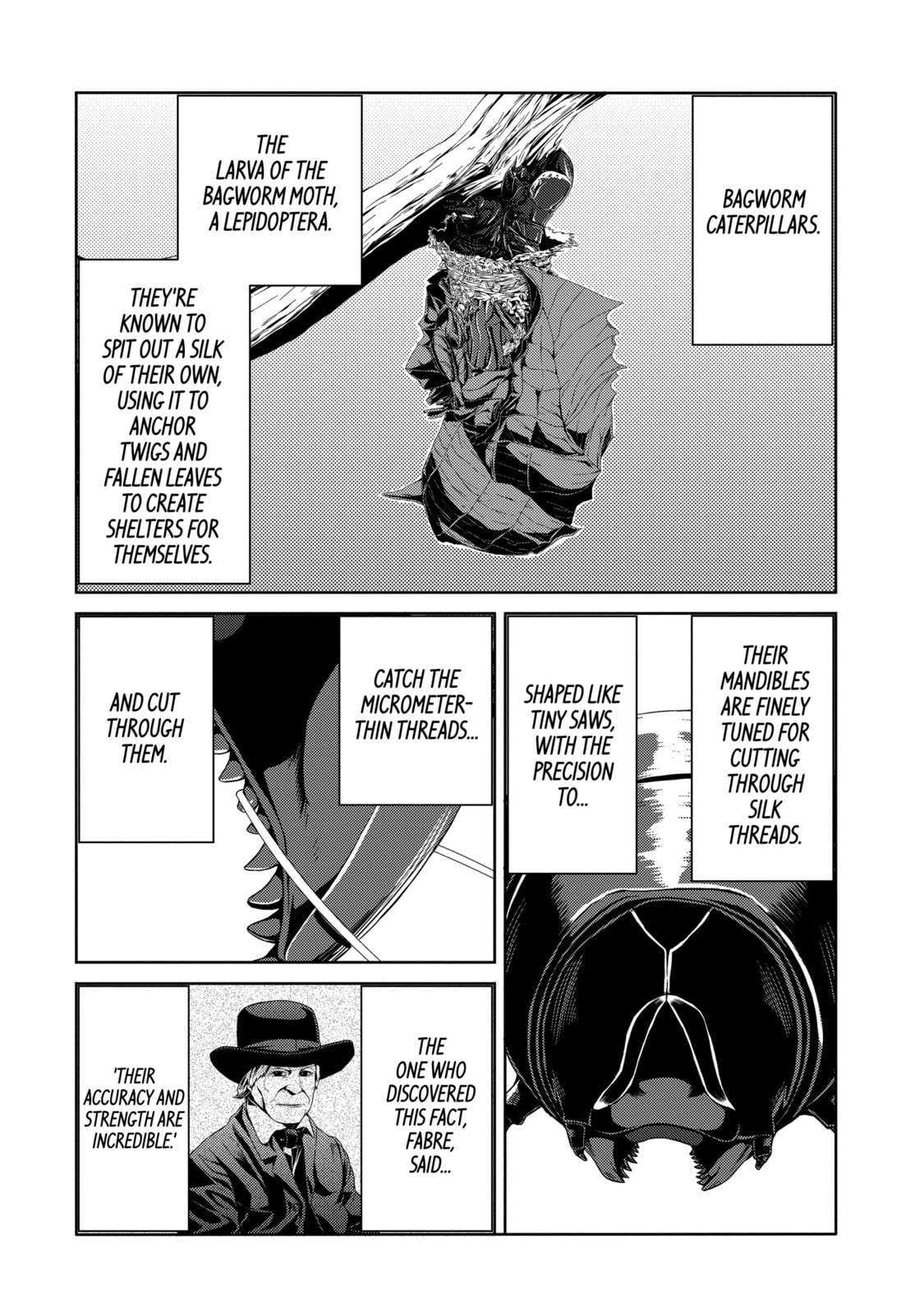 Read Caterpillar chapter 14 image 7 on Lezhin