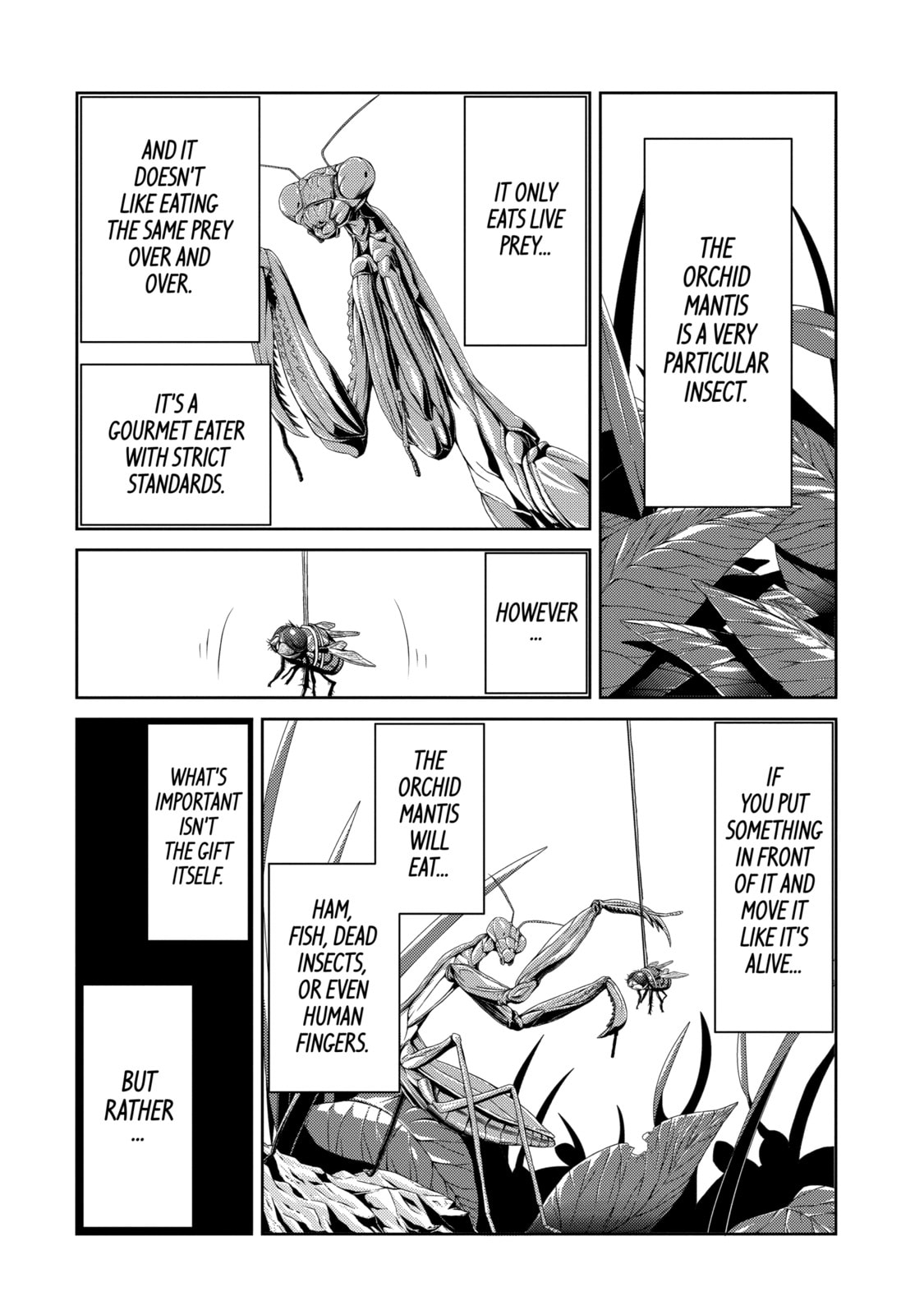 Read Caterpillar chapter 20 image 16 on Lezhin