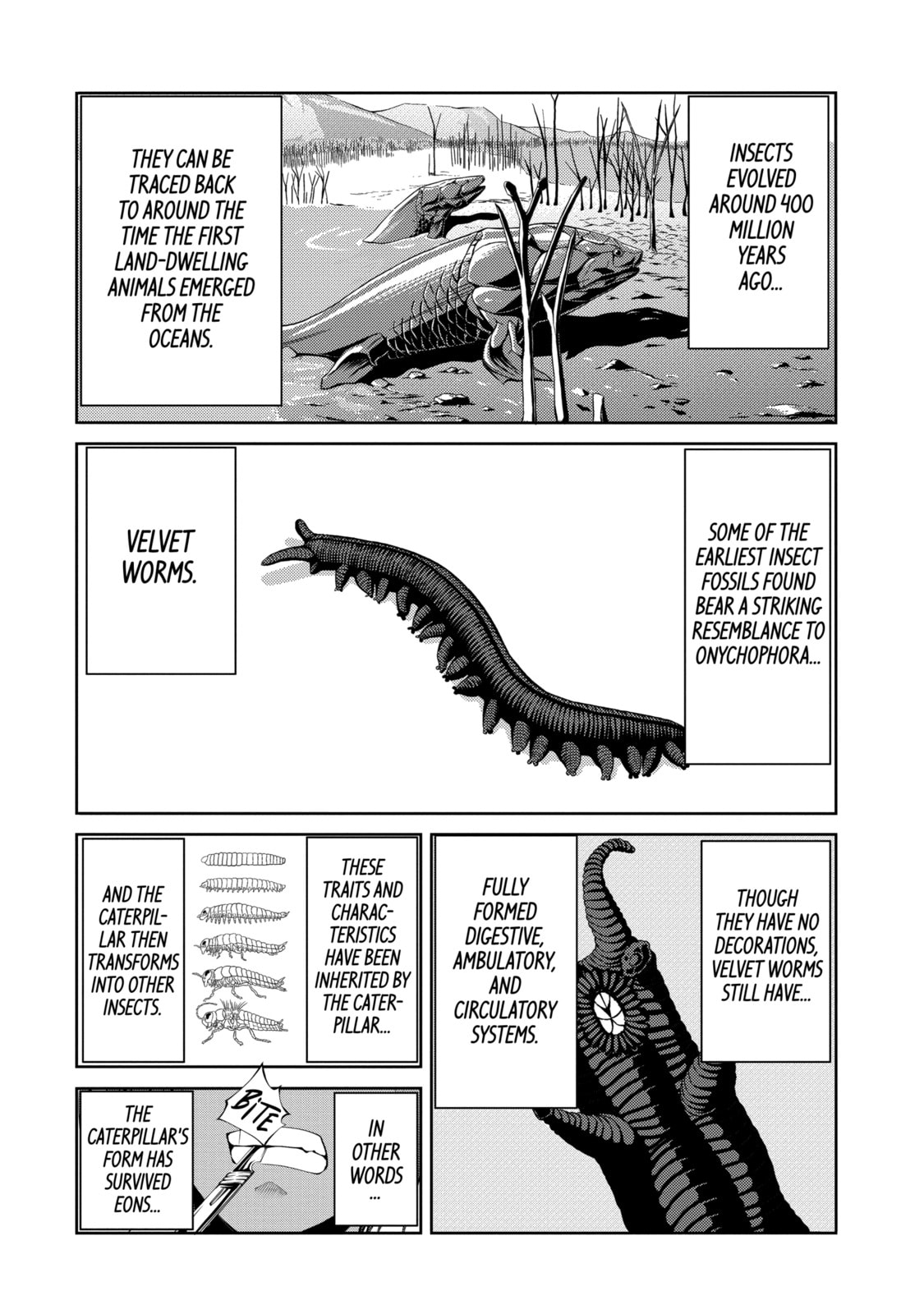 Read Caterpillar chapter 22 image 15 on Lezhin