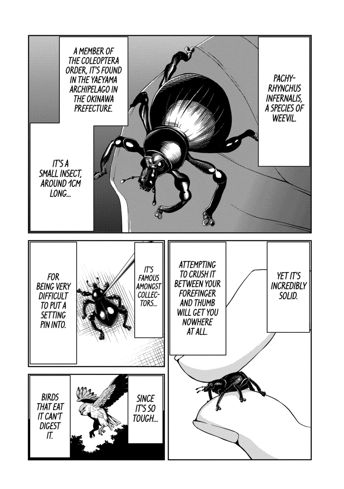 Read Caterpillar chapter 24 image 11 on Lezhin