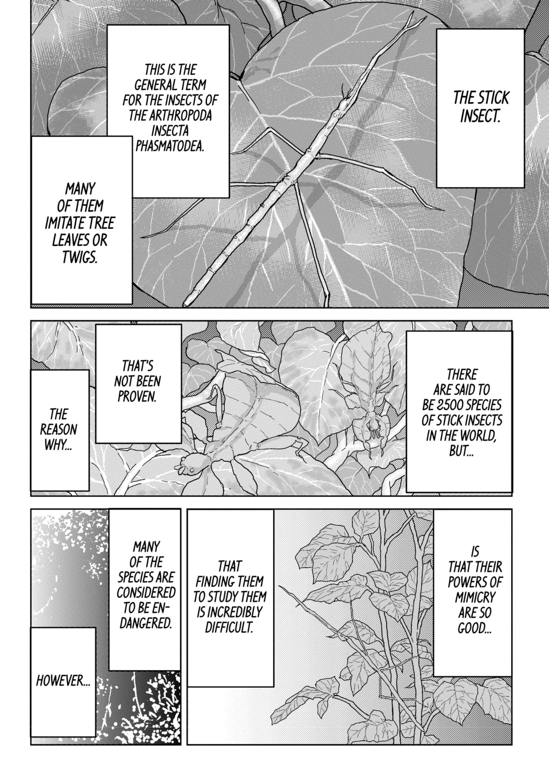 Read Caterpillar chapter 25 image 13 on Lezhin